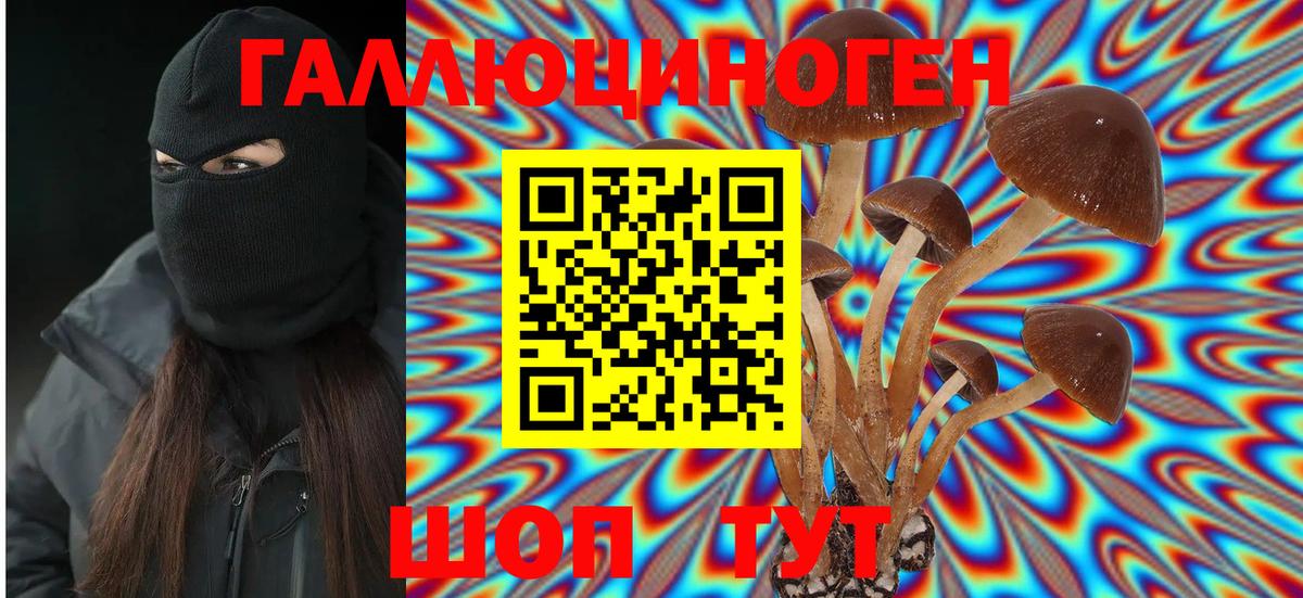 Галлюциногенные грибы GOLDEN TEACHER  Вход с VPN  Красноярск 
