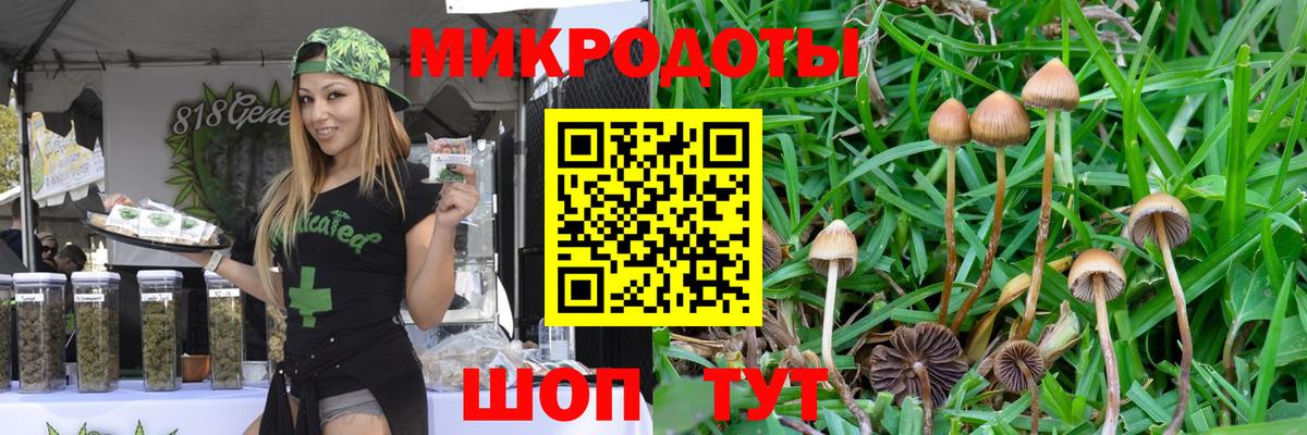 Псилоцибиновые грибы ЛСД Красноярск
